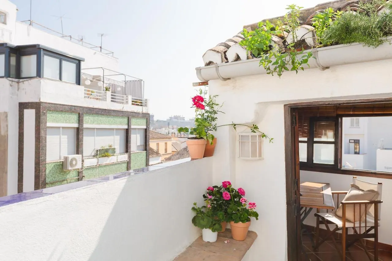 Atico Mirador De San Juan Apartment Malaga